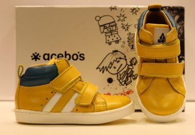 h acebos3