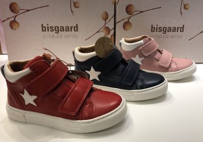 h bis4