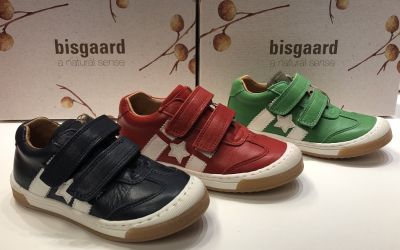 h bis5